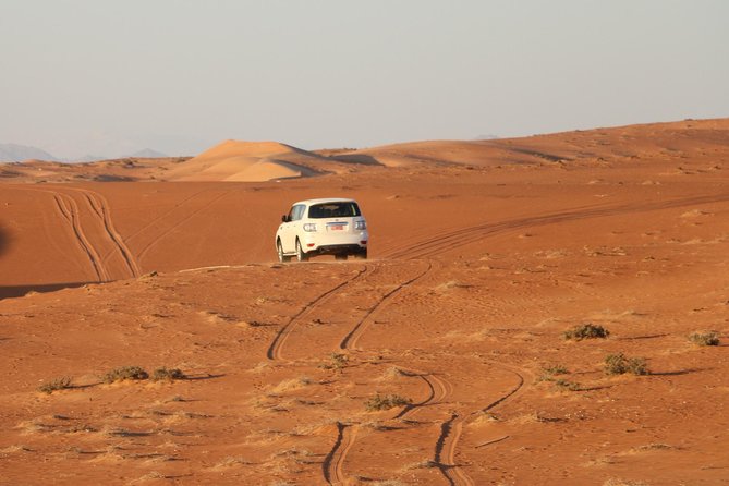 Wahiba Sands Safari with Wadi swimming and Camelride - Is $265.60 per person a fair price?
