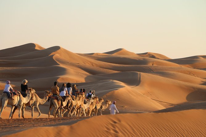 Wahiba Sands Safari with Wadi swimming and Camelride - What to know before riding a camel
