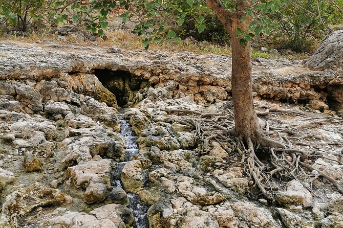 West Salalah, Al Mughsail Beach, White Beach, Frankincense Tree (Half day Tour) - Ayn Razat and the route details to confirm