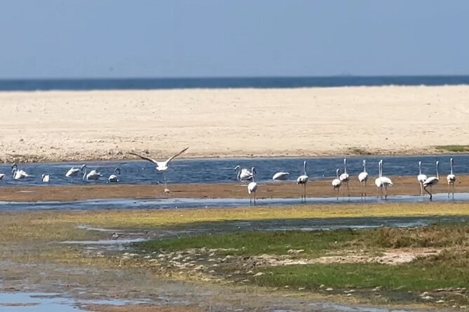 West Salalah Beaches and Blowholes - Afoul Beach for a short spell of calm