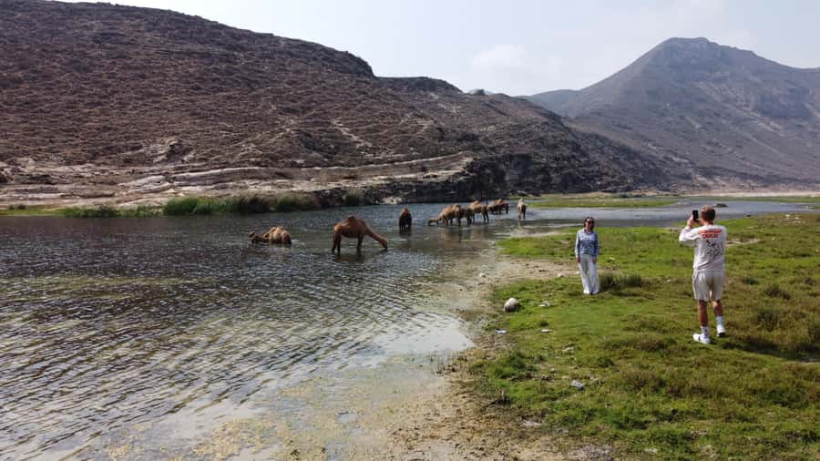 West Salalah Highlights: Coastal Wonders & Scenic Views - The blowholes at Mughsayl
