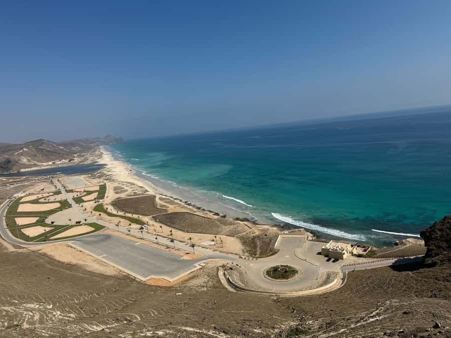 West Salalah Highlights: Coastal Wonders & Scenic Views - Frankincense trees and the story of Dhofar