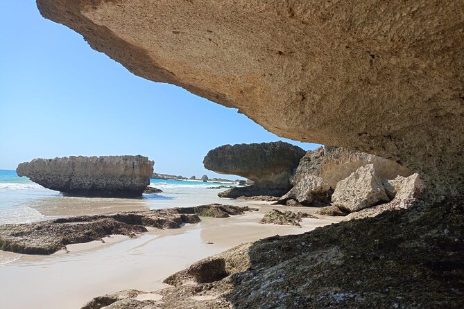 West Salalah Tour by VisitSalalah - Ain Garziz: A Gentle Start at a Dhofar Spring