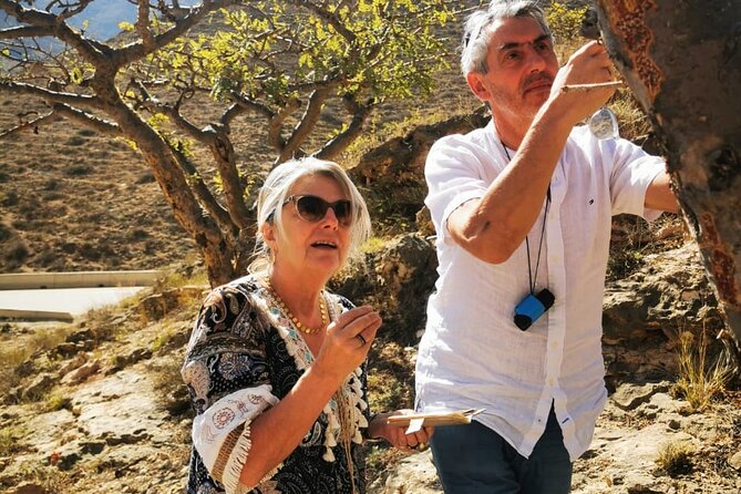 West Salalah Tour by VisitSalalah - Transport, Group Size, and Timing