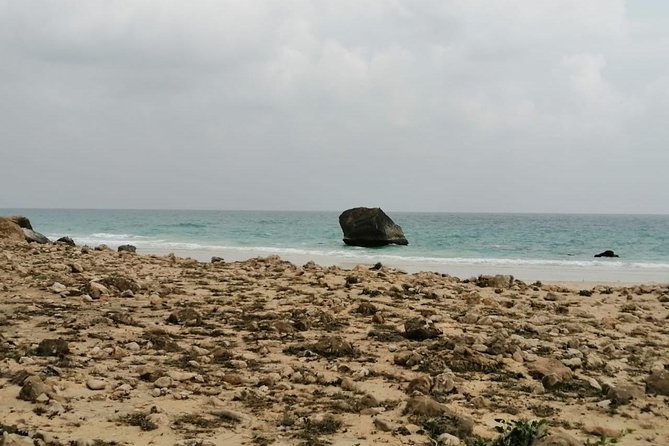Where Sea Meets Rock: A Scenic Journey to West Salalah’s Shores - Hidden Beach: a short look at a remote cove